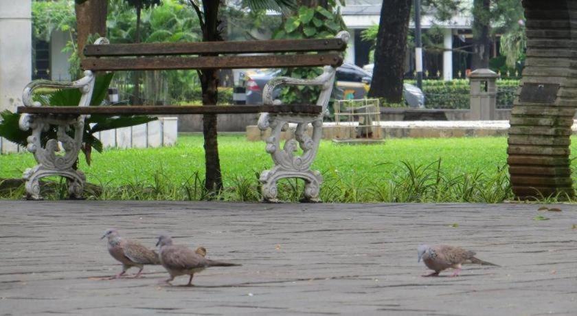 Sofyan Hotel Soepomo جاكرتا المظهر الخارجي الصورة